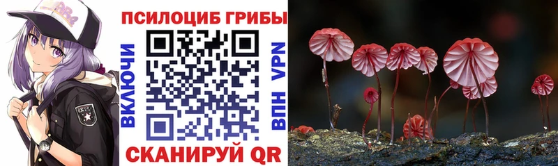 Псилоцибиновые грибы Cubensis  как найти закладки  Нариманов 